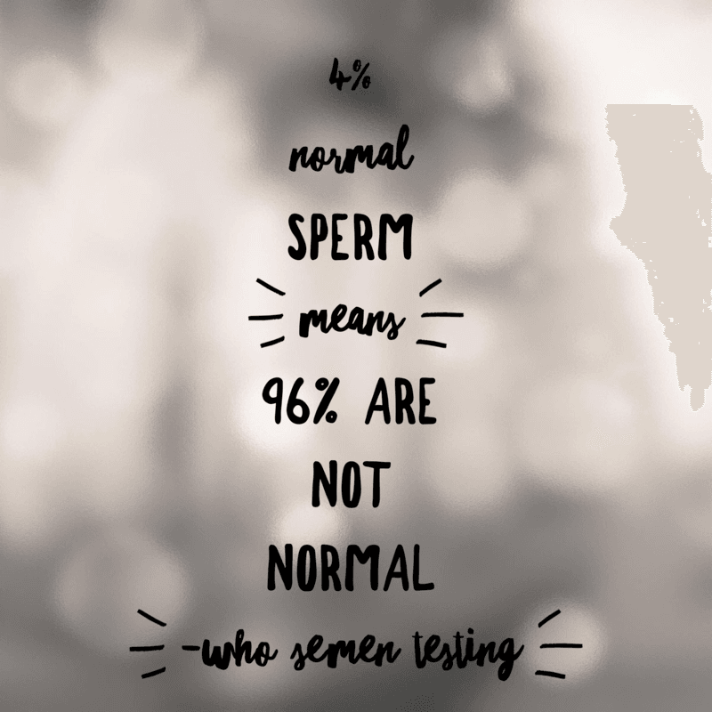 4% normal sperm means 96% that are not normal 4% normal sperm means 96% that are not normal